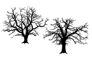 Tree Silhouette Vector Illustration
