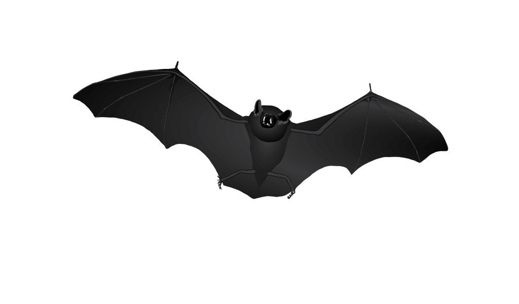 Vampire Bat Vector Illustration