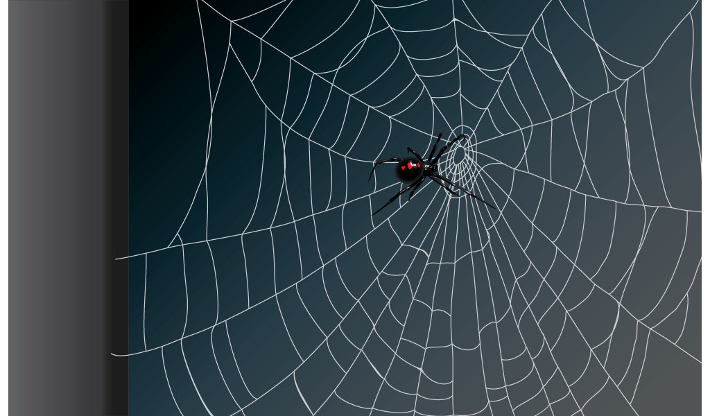 Spider in Cobweb Vector Illustration