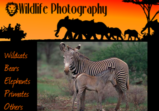 Wildlife Photography Site